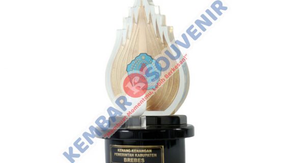 Trophy Acrylic Elegan Harga Murah