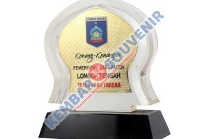 Model Piala Akrilik Kabupaten Tanah Datar